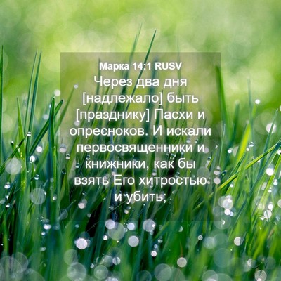 Picture 04 - Марка 14:1 RUSV - Через два дня [надлежало] - Bible Verse Picture