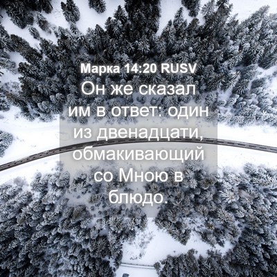 Picture 04 - Марка 14:20 RUSV - Он же сказал им в ответ: - Bible Verse Picture