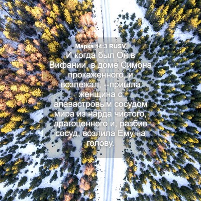 Picture 04 - Марка 14:3 RUSV - И когда был Он в Вифании, в - Bible Verse Picture