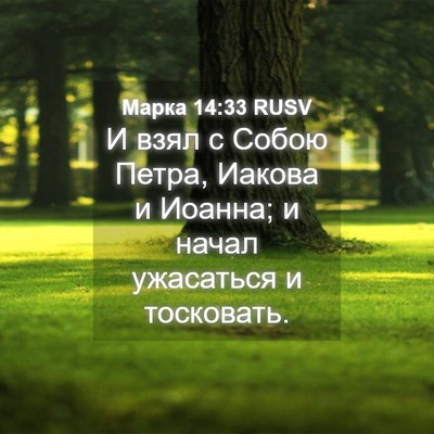 Picture 04 - Марка 14:33 RUSV - И взял с Собою Петра, - Bible Verse Picture