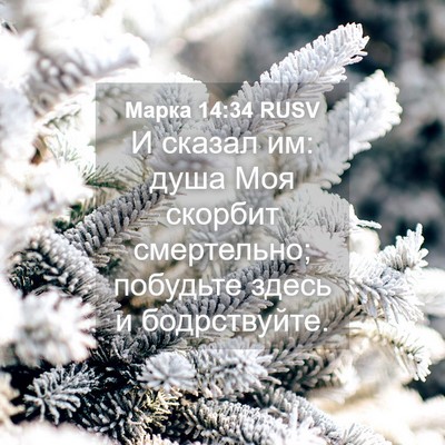 Picture 04 - Марка 14:34 RUSV - И сказал им: душа Моя - Bible Verse Picture