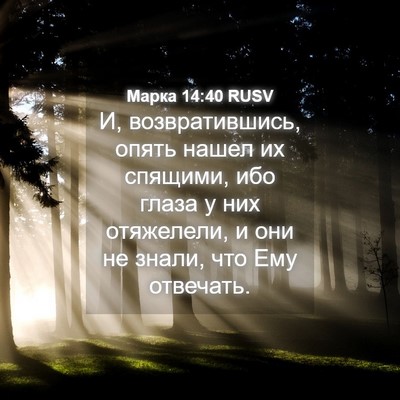 Picture 04 - Марка 14:40 RUSV - И, возвратившись, опять - Bible Verse Picture
