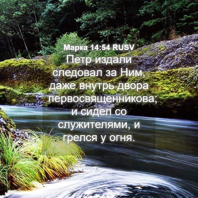 Picture 04 - Марка 14:54 RUSV - Петр издали следовал за - Bible Verse Picture