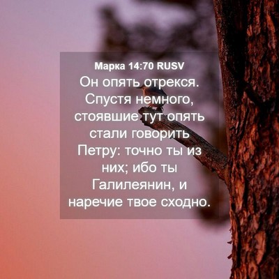 Picture 04 - Марка 14:70 RUSV - Он опять отрекся. Спустя - Bible Verse Picture
