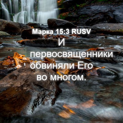 Picture 04 - Марка 15:3 RUSV - И первосвященники - Bible Verse Picture