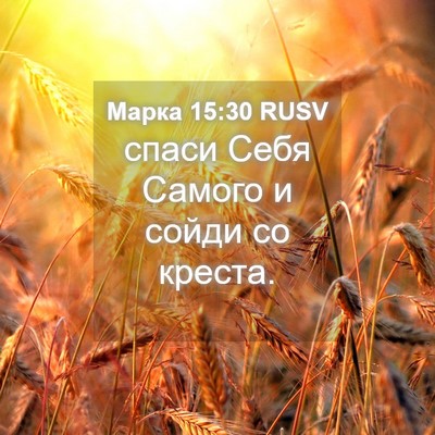 Picture 04 - Марка 15:30 RUSV - спаси Себя Самого и сойди - Bible Verse Picture