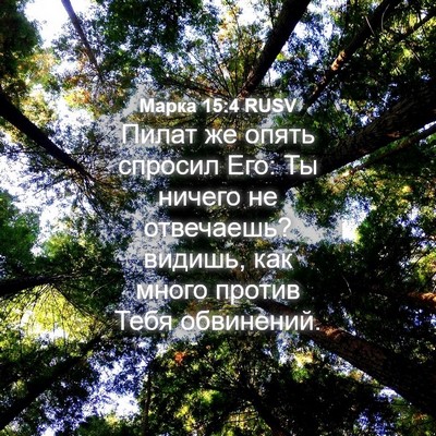 Picture 04 - Марка 15:4 RUSV - Пилат же опять спросил Его: - Bible Verse Picture