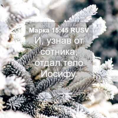 Picture 04 - Марка 15:45 RUSV - И, узнав от сотника, отдал - Bible Verse Picture