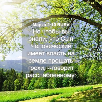Picture 04 - Марка 2:10 RUSV - Но чтобы вы знали, что Сын - Bible Verse Picture