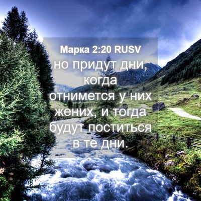 Picture 04 - Марка 2:20 RUSV - но придут дни, когда - Bible Verse Picture