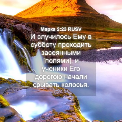 Picture 04 - Марка 2:23 RUSV - И случилось Ему в субботу - Bible Verse Picture