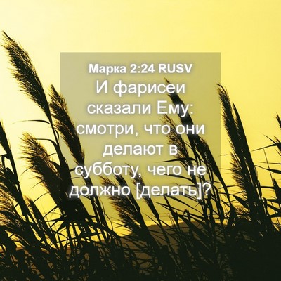 Picture 04 - Марка 2:24 RUSV - И фарисеи сказали Ему: - Bible Verse Picture
