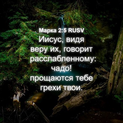 Picture 04 - Марка 2:5 RUSV - Иисус, видя веру их, - Bible Verse Picture