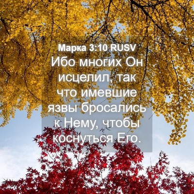 Picture 04 - Марка 3:10 RUSV - Ибо многих Он исцелил, так - Bible Verse Picture