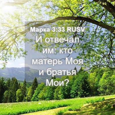 Picture 04 - Марка 3:33 RUSV - И отвечал им: кто матерь - Bible Verse Picture