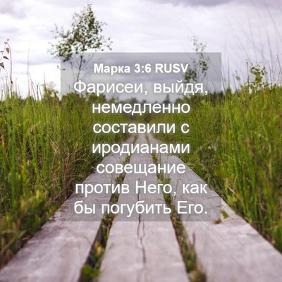Picture 04 - Марка 3:6 RUSV - Фарисеи, выйдя, немедленно - Bible Verse Picture