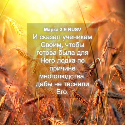 Picture 04 - Марка 3:9 RUSV - И сказал ученикам Своим, - Bible Verse Picture