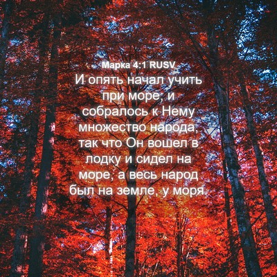 Picture 04 - Марка 4:1 RUSV - И опять начал учить при - Bible Verse Picture
