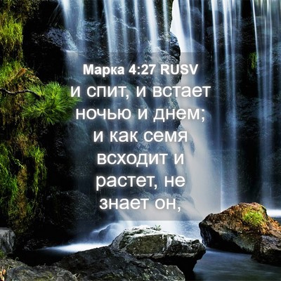 Picture 04 - Марка 4:27 RUSV - и спит, и встает ночью и - Bible Verse Picture