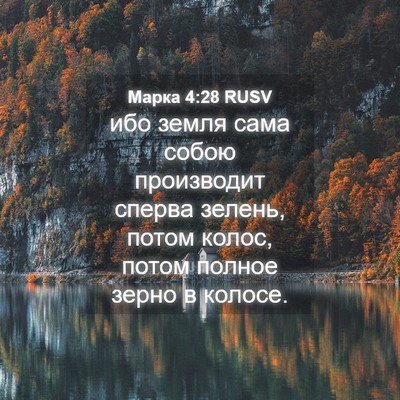 Picture 04 - Марка 4:28 RUSV - ибо земля сама собою - Bible Verse Picture