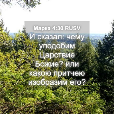 Picture 04 - Марка 4:30 RUSV - И сказал: чему уподобим - Bible Verse Picture