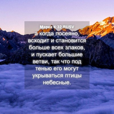Picture 04 - Марка 4:32 RUSV - а когда посеяно, всходит и - Bible Verse Picture