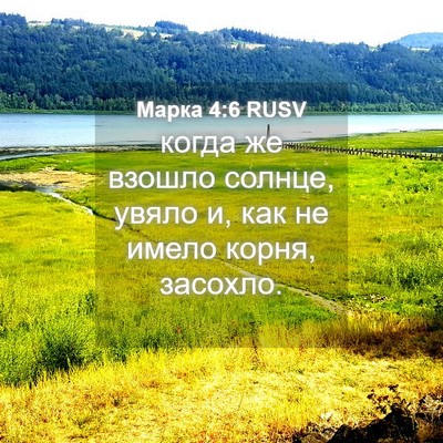 Picture 04 - Марка 4:6 RUSV - когда же взошло солнце, - Bible Verse Picture