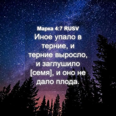 Picture 04 - Марка 4:7 RUSV - Иное упало в терние, и - Bible Verse Picture