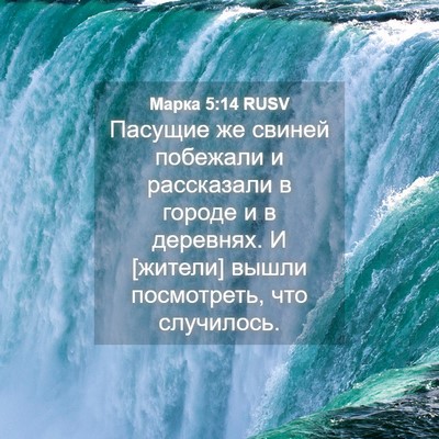 Picture 04 - Марка 5:14 RUSV - Пасущие же свиней побежали - Bible Verse Picture