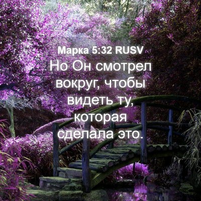 Picture 04 - Марка 5:32 RUSV - Но Он смотрел вокруг, чтобы - Bible Verse Picture