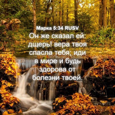 Picture 04 - Марка 5:34 RUSV - Он же сказал ей: дщерь! вера - Bible Verse Picture
