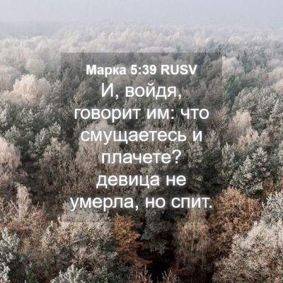 Picture 04 - Марка 5:39 RUSV - И, войдя, говорит им: что - Bible Verse Picture