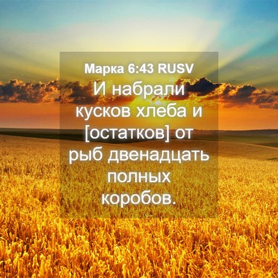 Picture 04 - Марка 6:43 RUSV - И набрали кусков хлеба и - Bible Verse Picture