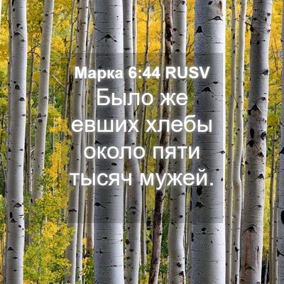Picture 04 - Марка 6:44 RUSV - Было же евших хлебы около - Bible Verse Picture