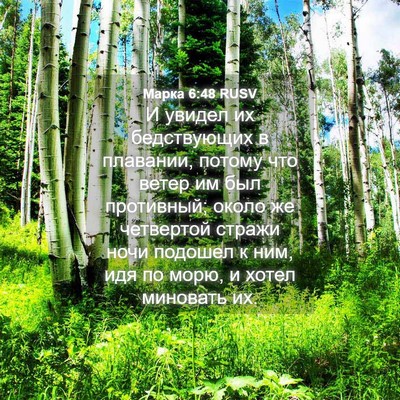 Picture 04 - Марка 6:48 RUSV - И увидел их бедствующих в - Bible Verse Picture