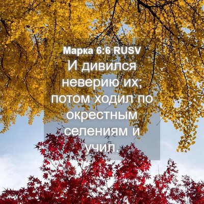 Picture 04 - Марка 6:6 RUSV - И дивился неверию их; потом - Bible Verse Picture