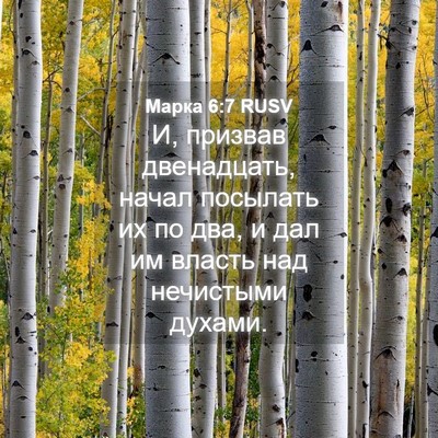 Picture 04 - Марка 6:7 RUSV - И, призвав двенадцать, - Bible Verse Picture
