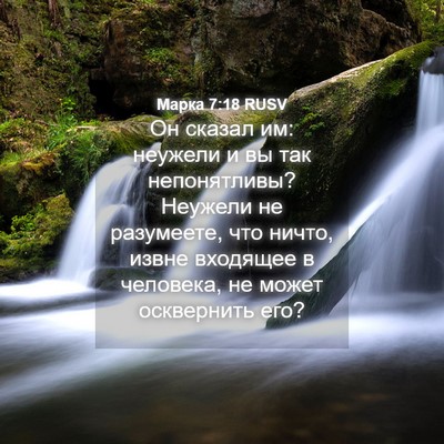 Picture 04 - Марка 7:18 RUSV - Он сказал им: неужели и вы - Bible Verse Picture