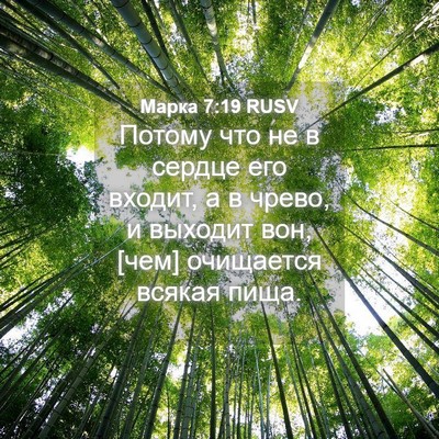 Picture 04 - Марка 7:19 RUSV - Потому что не в сердце его - Bible Verse Picture