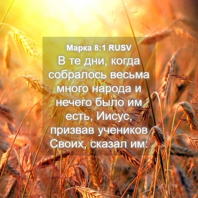 Picture 04 - Марка 8:1 RUSV - В те дни, когда собралось - Bible Verse Picture