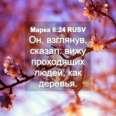 Picture 04 - Марка 8:24 RUSV - Он, взглянув, сказал: вижу - Bible Verse Picture