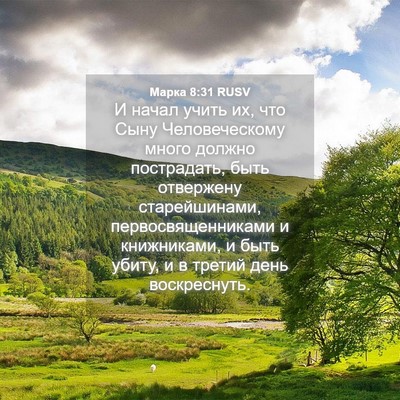 Picture 04 - Марка 8:31 RUSV - И начал учить их, что Сыну - Bible Verse Picture
