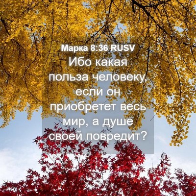 Picture 04 - Марка 8:36 RUSV - Ибо какая польза человеку, - Bible Verse Picture