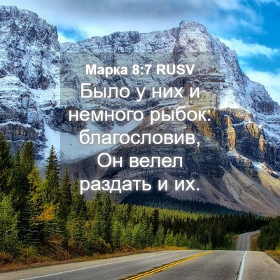 Picture 04 - Марка 8:7 RUSV - Было у них и немного рыбок: - Bible Verse Picture