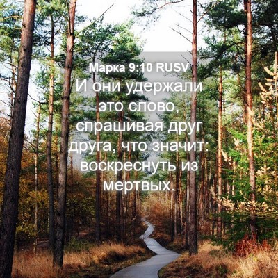 Picture 04 - Марка 9:10 RUSV - И они удержали это слово, - Bible Verse Picture