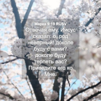 Picture 04 - Марка 9:19 RUSV - Отвечая ему, Иисус сказал: - Bible Verse Picture