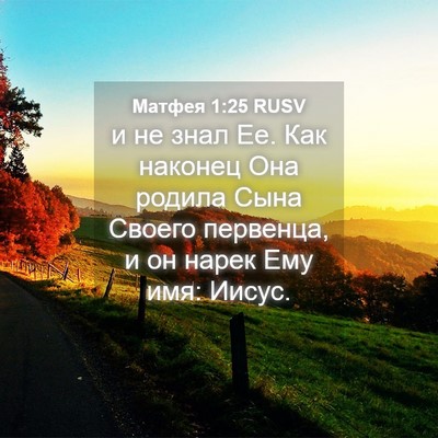 Picture 04 - Матфея 1:25 RUSV - и не знал Ее. Как наконец - Bible Verse Picture