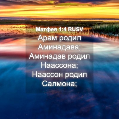 Picture 04 - Матфея 1:4 RUSV - Арам родил Аминадава; - Bible Verse Picture