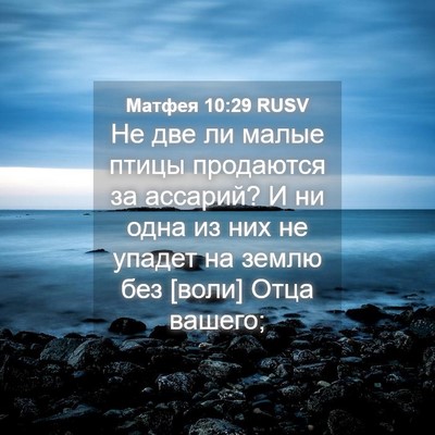 Picture 04 - Матфея 10:29 RUSV - Не две ли малые птицы - Bible Verse Picture