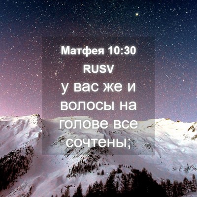 Picture 04 - Матфея 10:30 RUSV - у вас же и волосы на голове - Bible Verse Picture